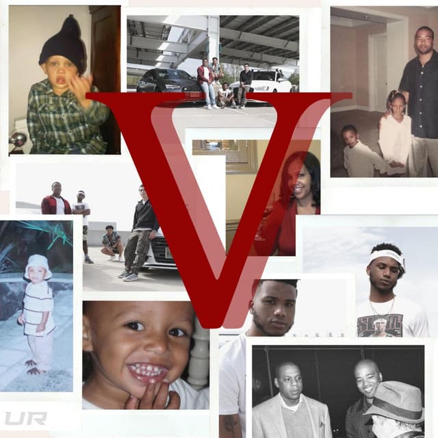 Violate cover