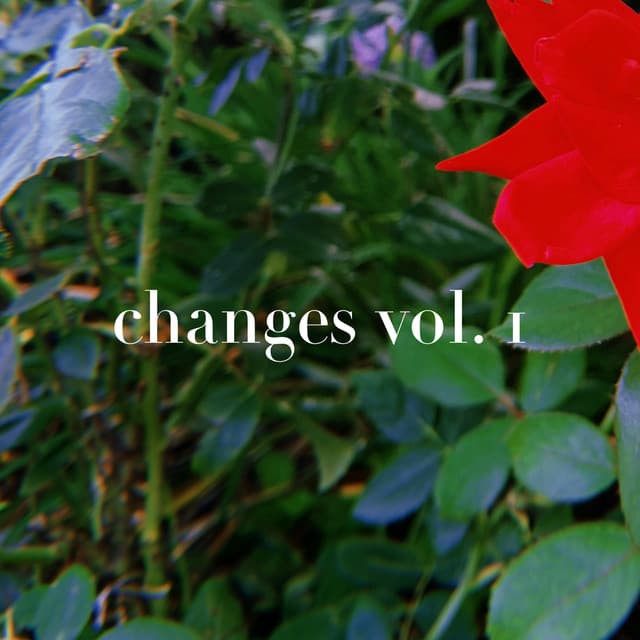 changes vol. 1 cover